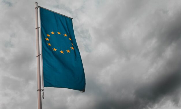 Meilensteine für den Weg aus der Systemkrise: Wirtschaftspolitische Akzente jetzt und nach Corona