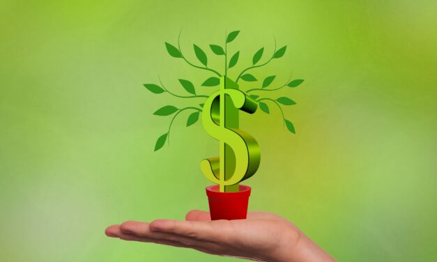 Virtuelles Mediengespräch: Green Finance – Kann der Finanzmarkt zur Lösung der globalen Umwelt- und Klimakrise beitragen? Befunde aus der Wissenschaft