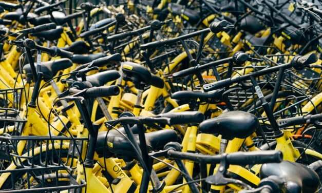 „Mut zur Mobilitätswende – Ein wissenschaftlicher Appell an die Wiener SPÖ“ (Mediengepräch am 27.5.2022)