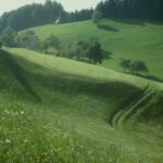 Mehr als 1.400 Wissenschafter:innen rufen die EU auf, die Biodiversitäts-Finanzierungslücke zu schließen (Mediengespräch in Kooperation mit Scientists for Future, 26.06.2025)