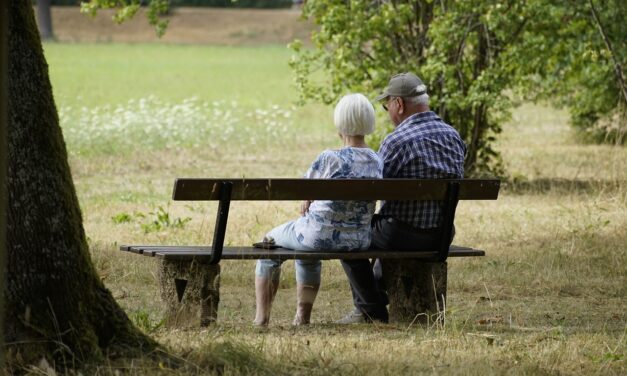 Wie Ältere länger in Beschäftigung halten – eine Kardinalfrage für das Pensionssystem (Mediengespräch, 25.09.2025)