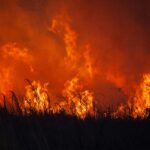 Klimaexpert:innen zur COP30: „Jetzt ist nicht die Zeit, um klimapolitische Ziele aufzuweichen“ (Presseaussendung, 10.11.2025)