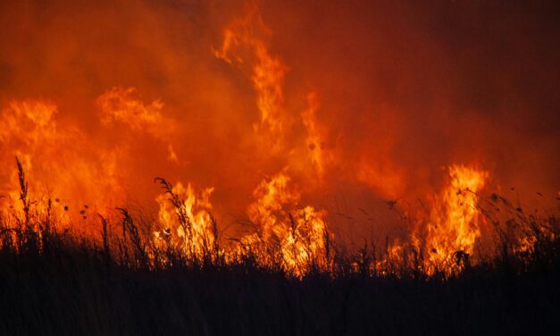 Klimaexpert:innen zur COP30: „Jetzt ist nicht die Zeit, um klimapolitische Ziele aufzuweichen“ (Presseaussendung, 10.11.2025)