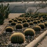 Anpassung an den Klimawandel: Steigender Bedarf trifft auf wachsende Lücken (Mediengespräch, 20.01.2026)