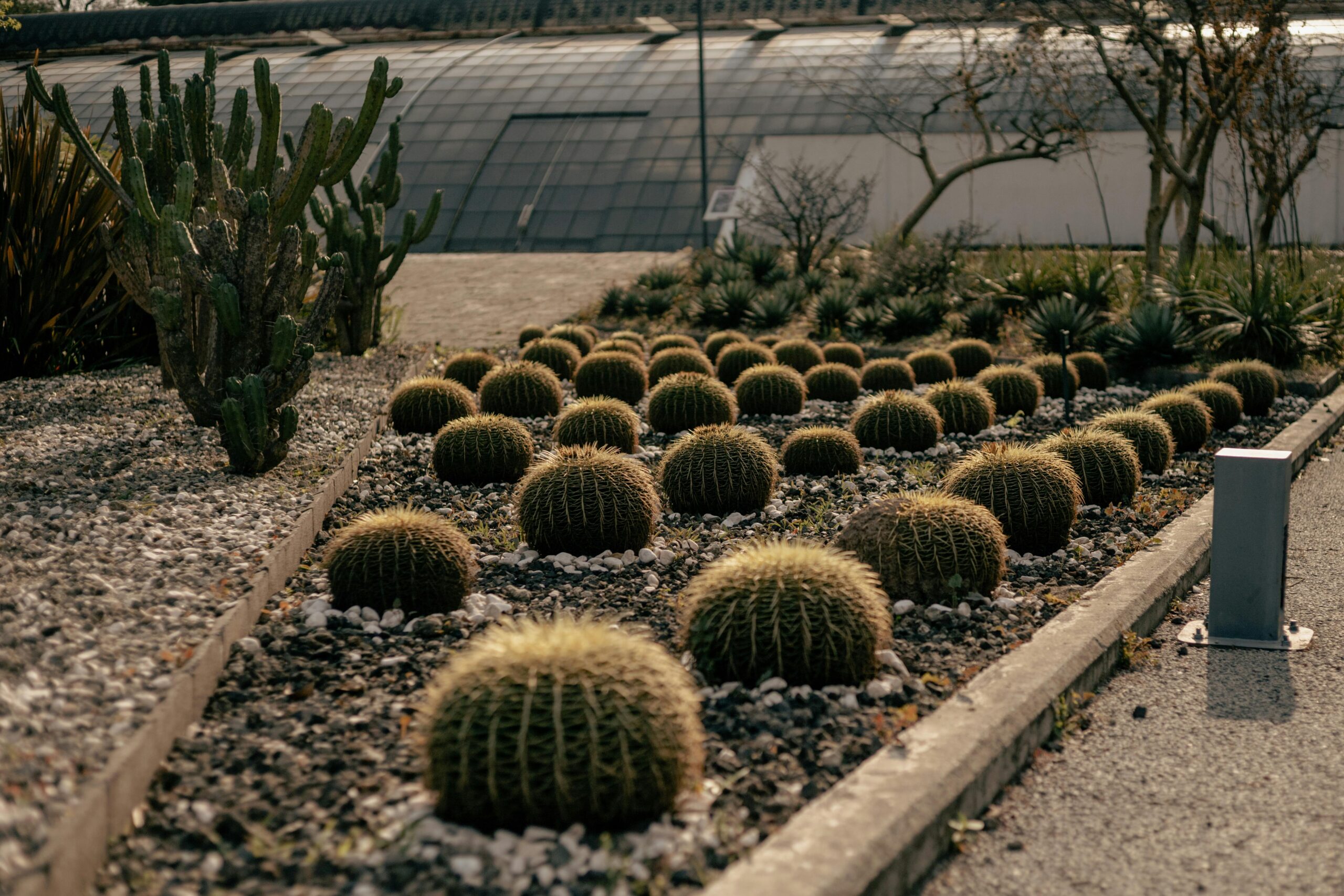 pexels-jonathan-fuentes-2158022177-35588145