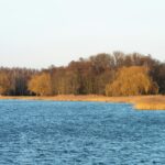 Lobautunnel: Drohende Waldverwüstung und Zunahme des Autoverkehrs – Stimmen aus der Wissenschaft (Mediengespräch, 14. Jänner 2026)