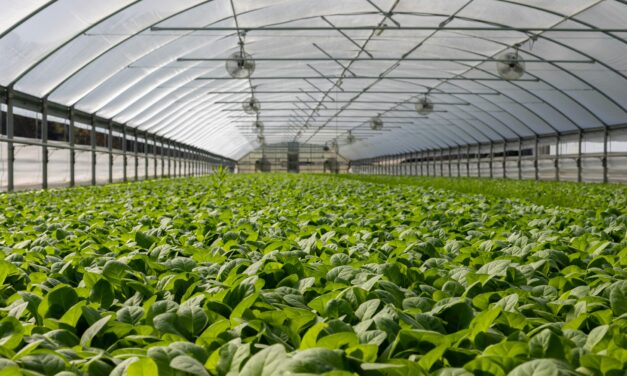 Vom Preisstreit zur Lebensmittel-Versorgungskrise –  ein Weckruf aus der Wissenschaft (Mediengespräch, 19.02.2026)