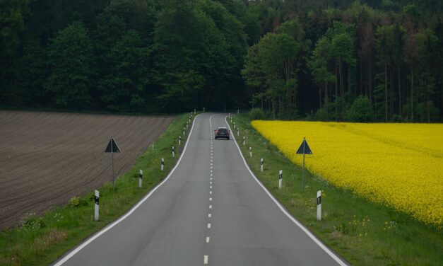 Weniger km/h, weniger Tote – Was ein 80km/h‑Limit auf Landstraßen bewirken würde (Mediengespräch, 18.06.2026)