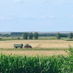 Dürre in Österreich: Vom akuten Notfall zur langfristigen Anpassung (Mediengespräch, 25.08.2026)