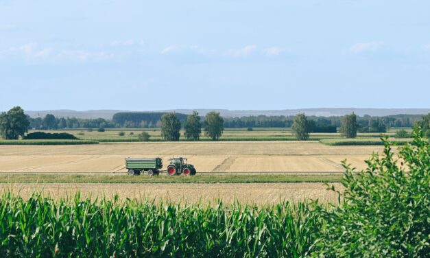 Dürre in Österreich: Vom akuten Notfall zur langfristigen Anpassung (Mediengespräch, 25.08.2026)
