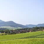Angebunden statt abgehängt: Wie wird ländliche Mobilität zukunftsfähig? (Mediengespräch, 28.08.2026)
